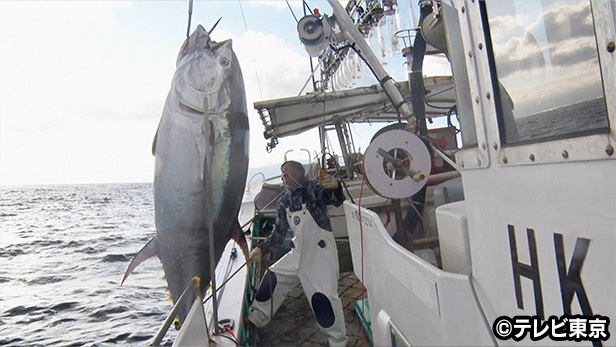 巨大マグロ戦争