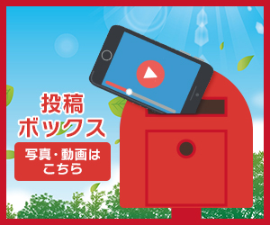 動画バナー